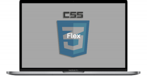 curso css flex
